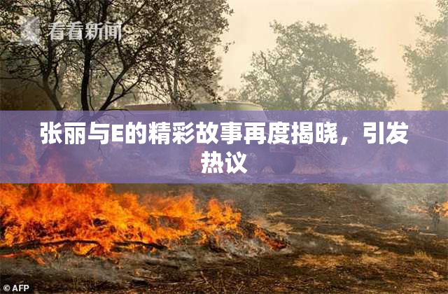 张丽与E的精彩故事再度揭晓，引发热议