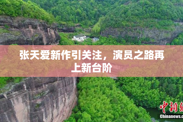 张天爱新作引关注，演员之路再上新台阶