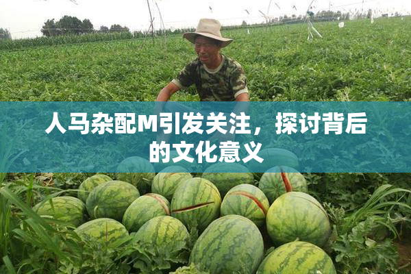 人马杂配M引发关注，探讨背后的文化意义