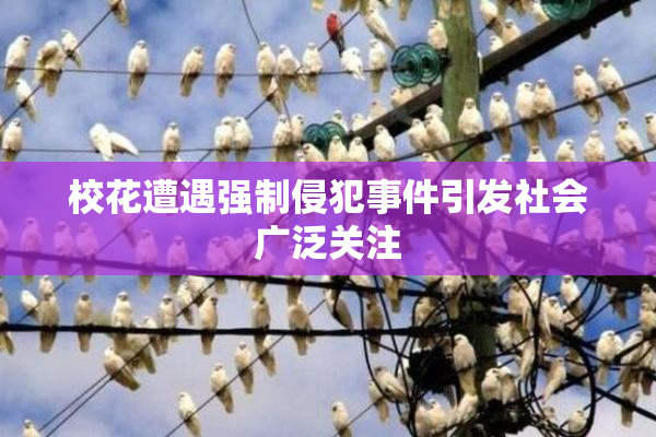校花遭遇强制侵犯事件引发社会广泛关注