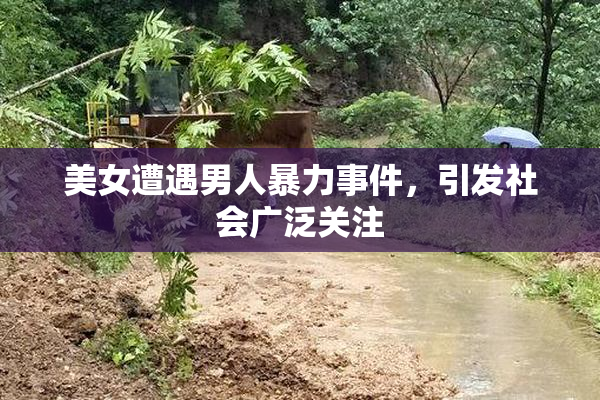 美女遭遇男人暴力事件，引发社会广泛关注