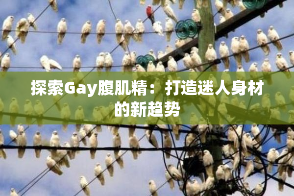 探索Gay腹肌精：打造迷人身材的新趋势