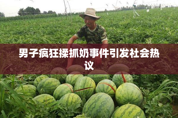 男子疯狂揉抓奶事件引发社会热议