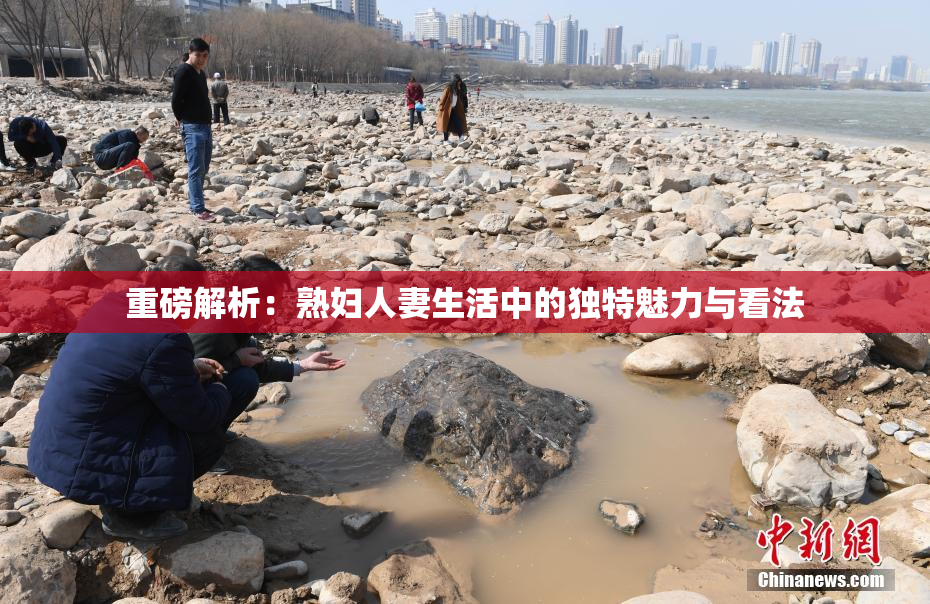 重磅解析：熟妇人妻生活中的独特魅力与看法