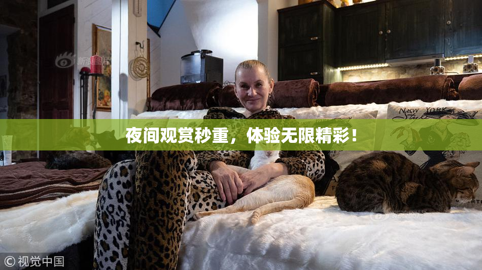 夜间观赏秒重，体验无限精彩！