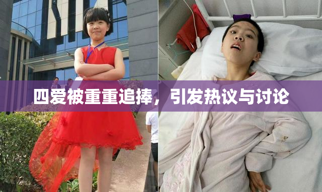四爱被重重追捧，引发热议与讨论