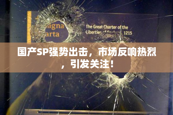 国产SP强势出击，市场反响热烈，引发关注！