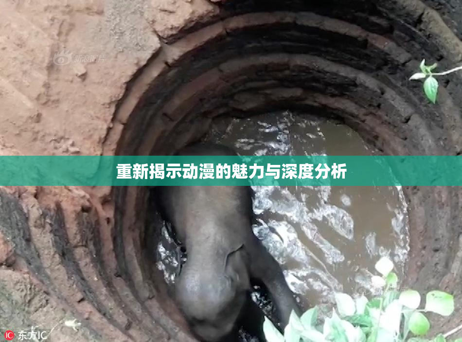 重新揭示动漫的魅力与深度分析