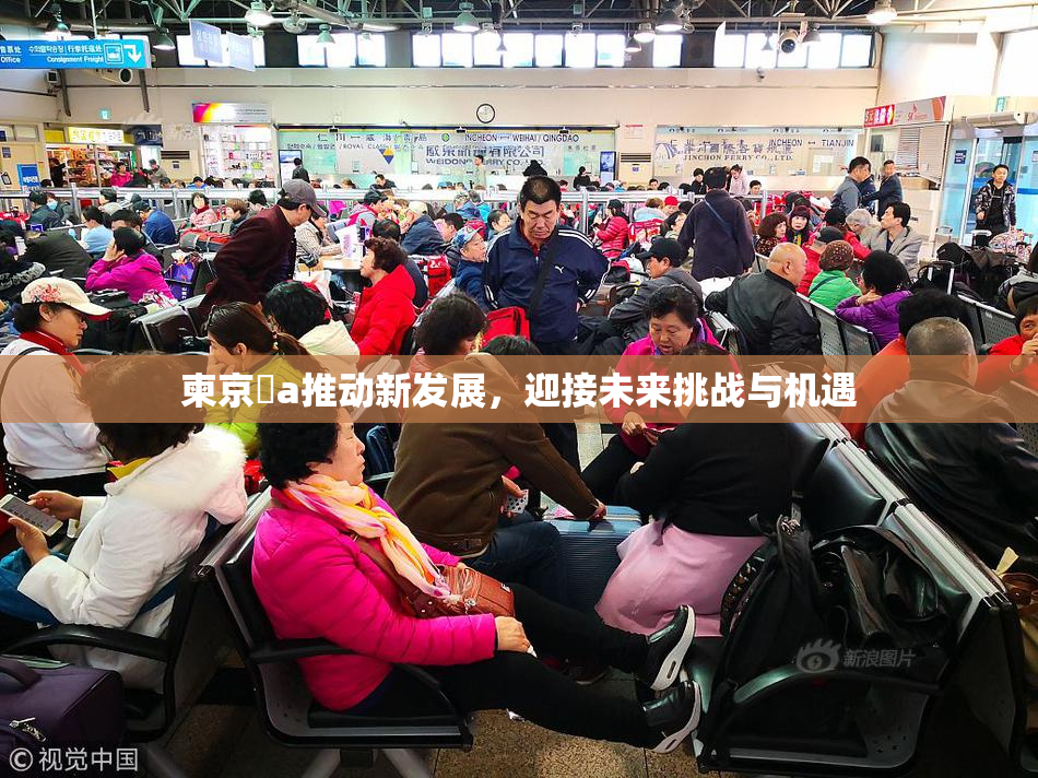 柬京埶a推动新发展，迎接未来挑战与机遇
