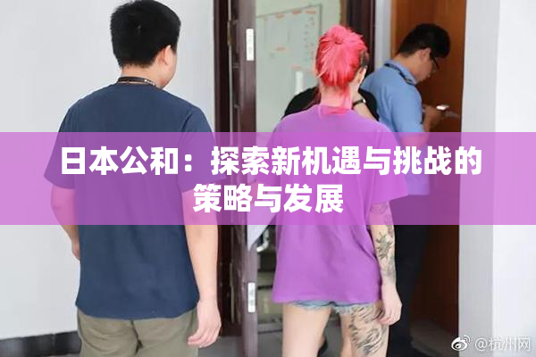 日本公和：探索新机遇与挑战的策略与发展