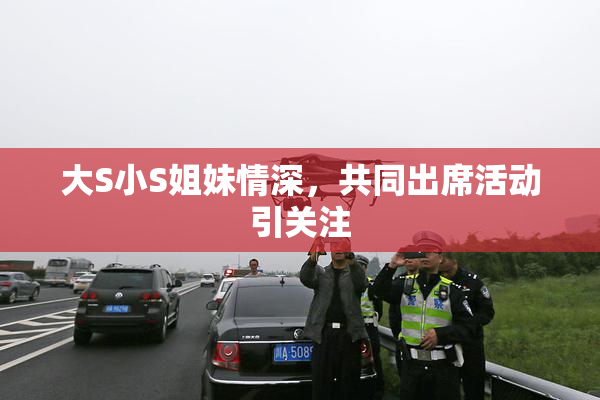 大S小S姐妹情深，共同出席活动引关注
