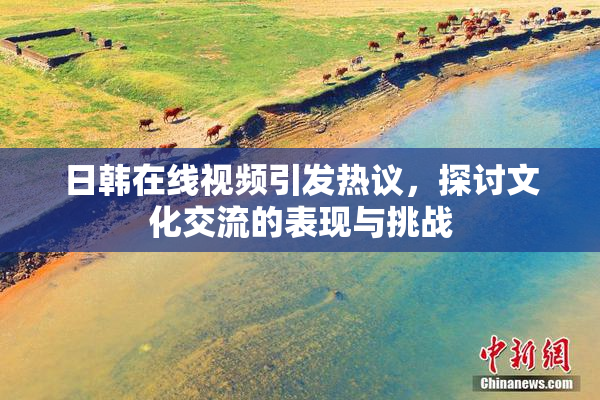 日韩在线视频引发热议，探讨文化交流的表现与挑战