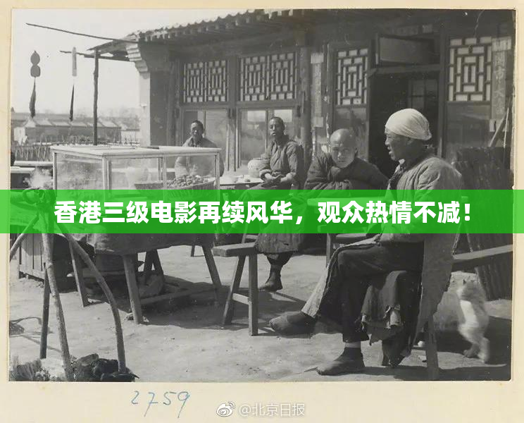 香港三级电影再续风华，观众热情不减！