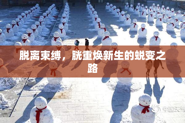 脱离束缚，胱重焕新生的蜕变之路