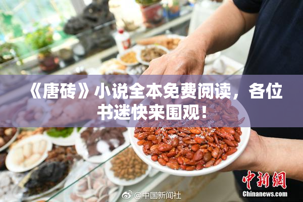 《唐砖》小说全本免费阅读，各位书迷快来围观！