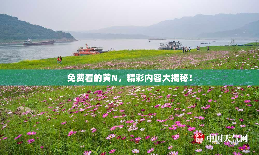 免费看的黄Ν，精彩内容大揭秘！