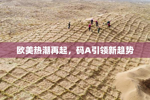 欧美热潮再起，码A引领新趋势