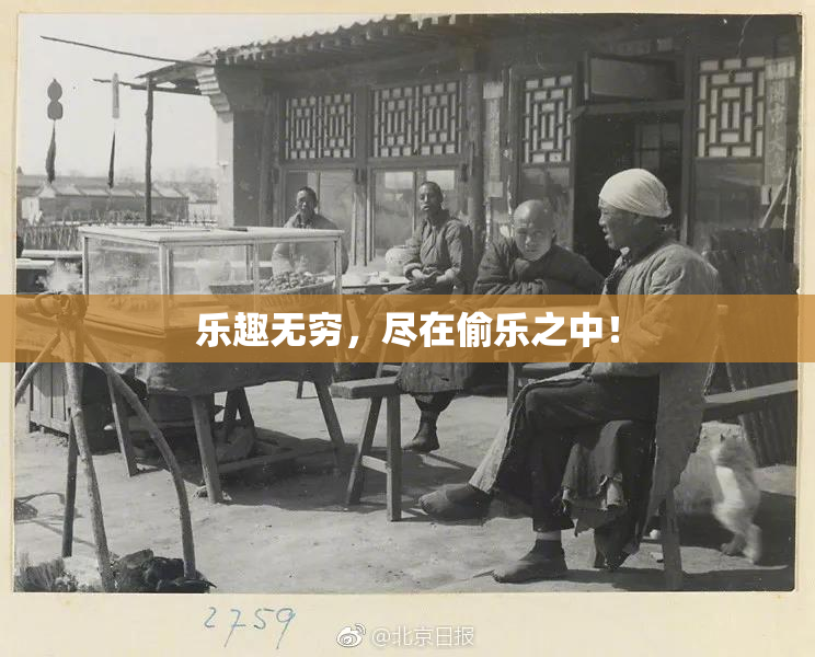 乐趣无穷，尽在偷乐之中！