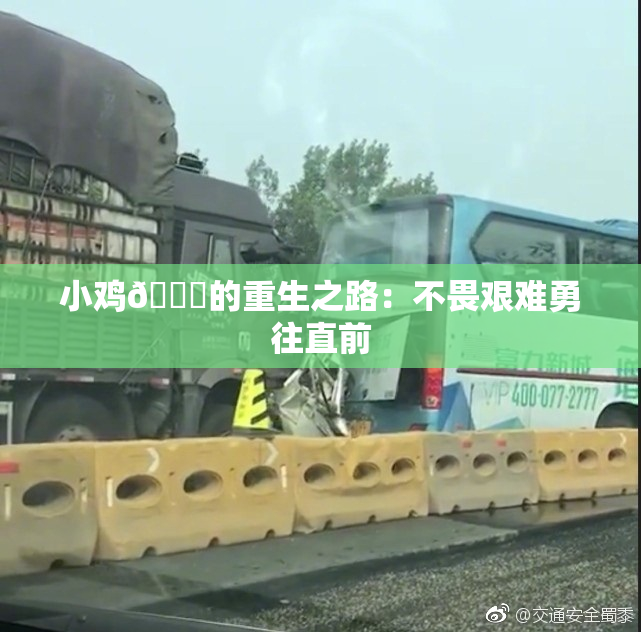 小鸡🐔的重生之路：不畏艰难勇往直前