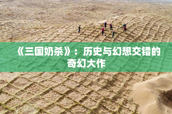 《三国奶杀》：历史与幻想交错的奇幻大作