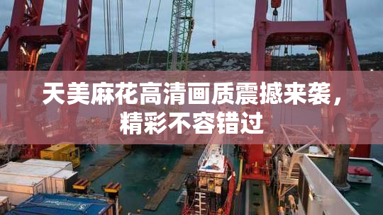 天美麻花高清画质震撼来袭，精彩不容错过