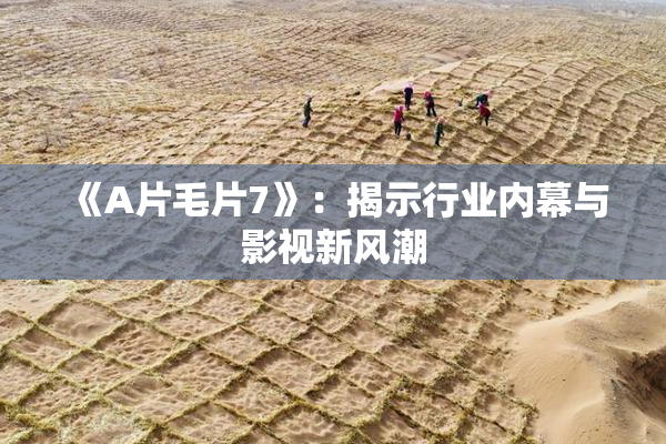 《A片毛片7》：揭示行业内幕与影视新风潮