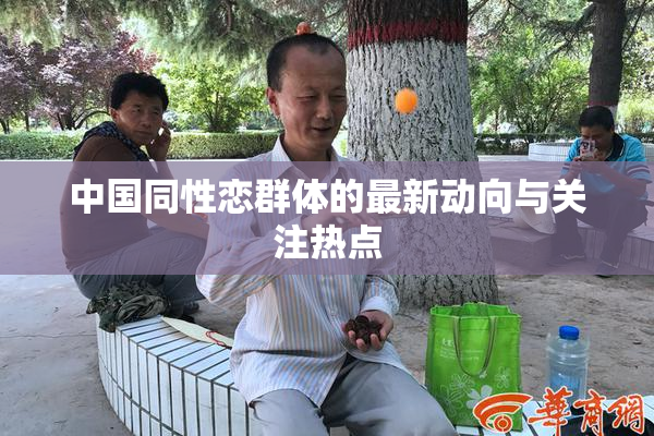 中国同性恋群体的最新动向与关注热点