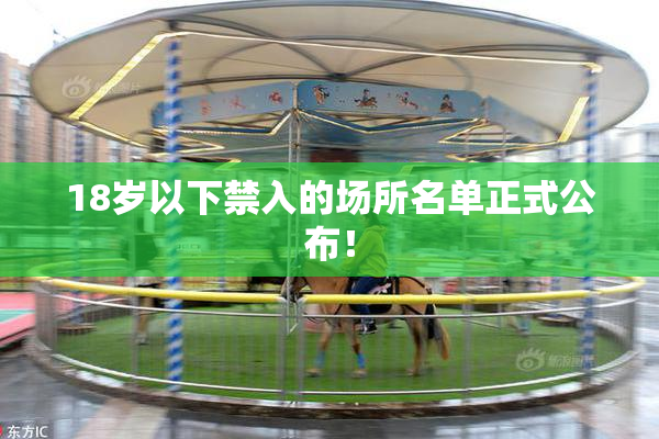 18岁以下禁入的场所名单正式公布！