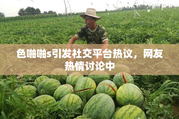 色啪啪s引发社交平台热议，网友热情讨论中