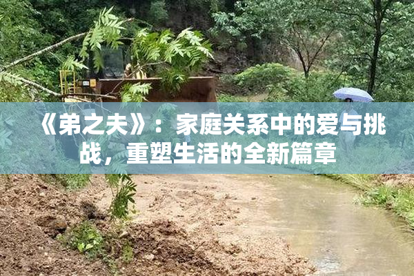 《弟之夫》：家庭关系中的爱与挑战，重塑生活的全新篇章