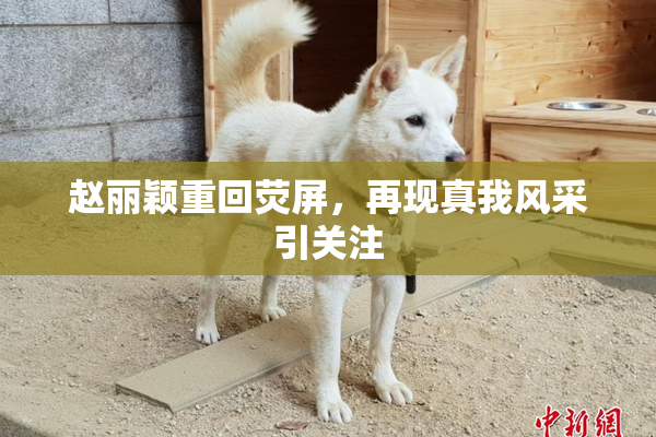 赵丽颖重回荧屏，再现真我风采引关注