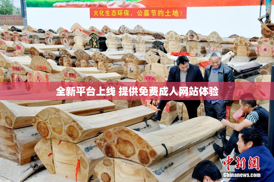 全新平台上线 提供免费成人网站体验