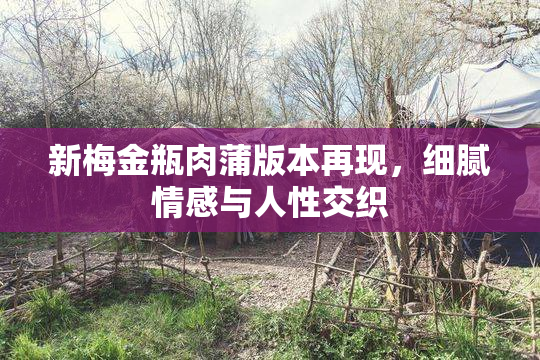 新梅金瓶肉蒲版本再现，细腻情感与人性交织