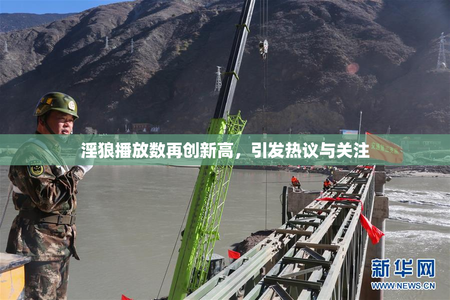淫狼播放数再创新高，引发热议与关注