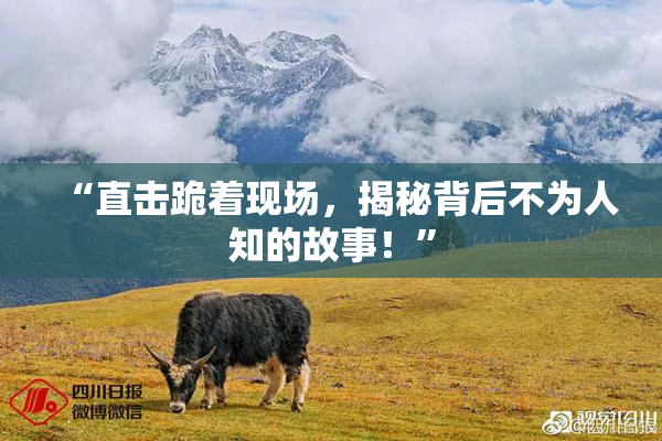 “直击跪着现场，揭秘背后不为人知的故事！”