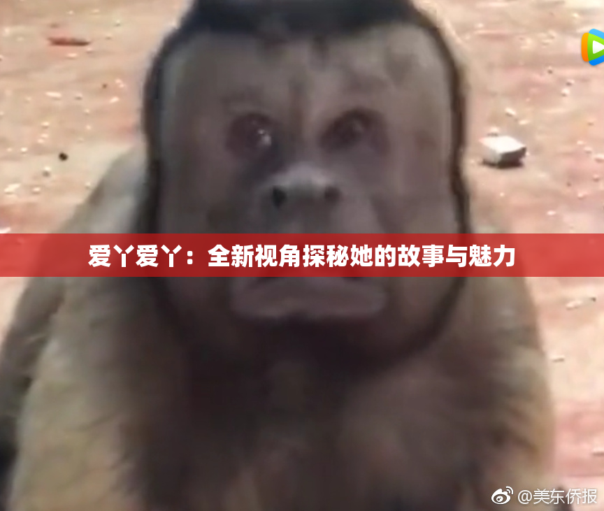 爱丫爱丫：全新视角探秘她的故事与魅力