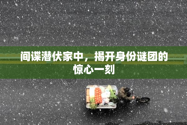 间谍潜伏家中，揭开身份谜团的惊心一刻