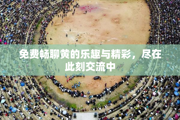 免费畅聊黄的乐趣与精彩，尽在此刻交流中