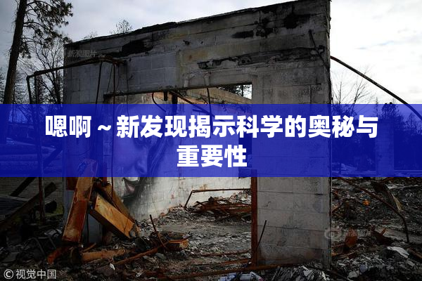 嗯啊～新发现揭示科学的奥秘与重要性