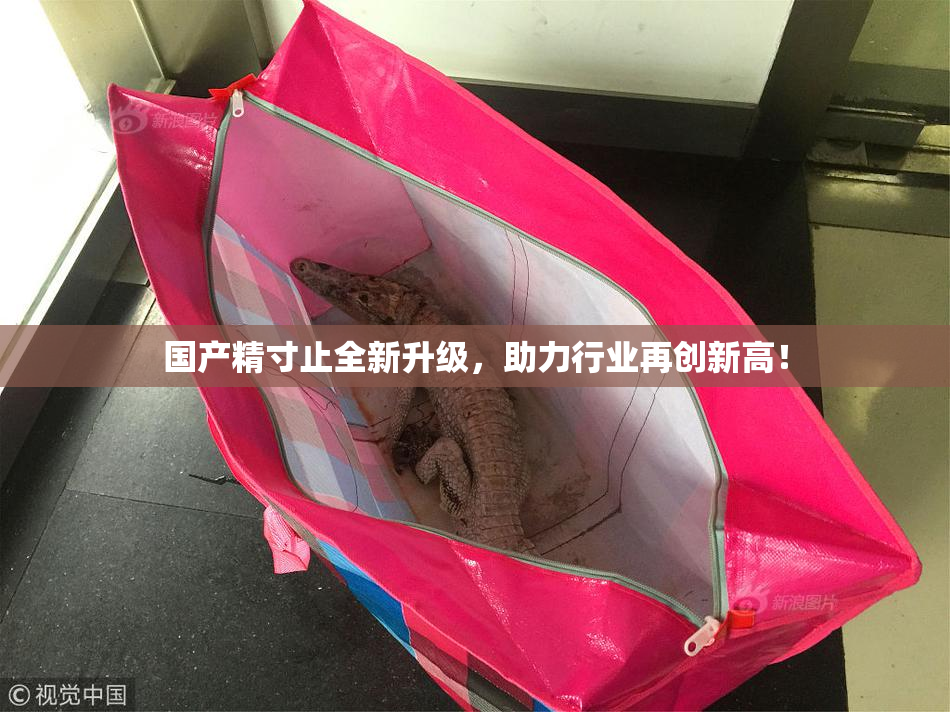 国产精寸止全新升级，助力行业再创新高！