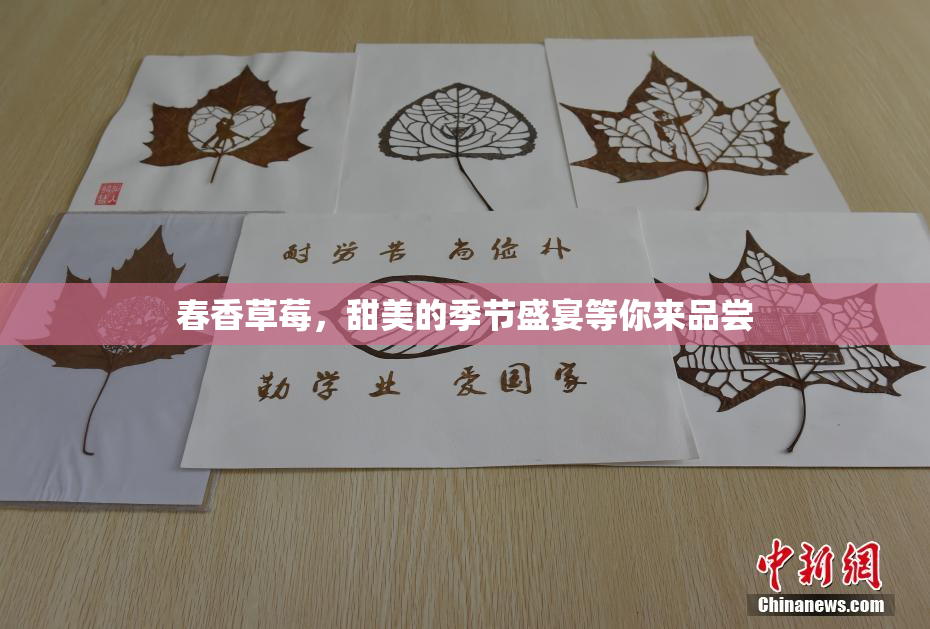 春香草莓，甜美的季节盛宴等你来品尝