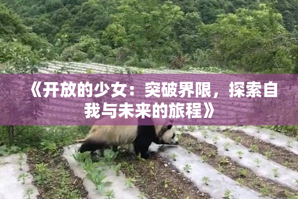 《开放的少女：突破界限，探索自我与未来的旅程》