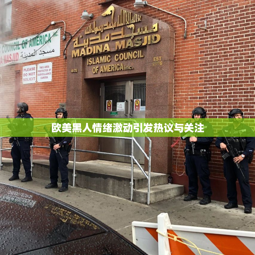 欧美黑人情绪激动引发热议与关注