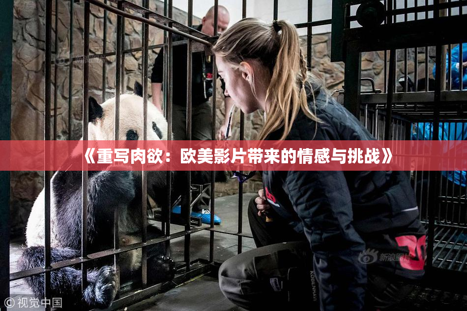《重写肉欲：欧美影片带来的情感与挑战》