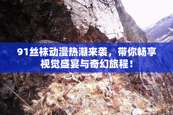 91丝袜动漫热潮来袭，带你畅享视觉盛宴与奇幻旅程！