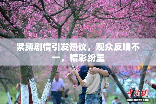 紧缚剧情引发热议，观众反响不一，精彩纷呈