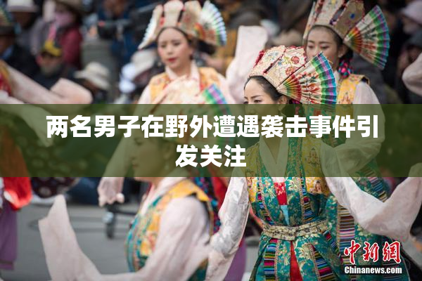 两名男子在野外遭遇袭击事件引发关注