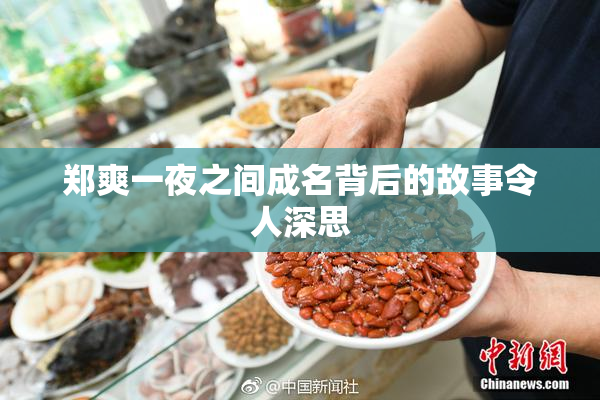 郑爽一夜之间成名背后的故事令人深思