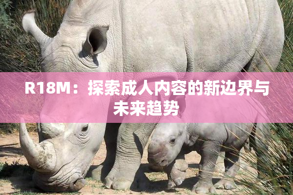 R18M：探索成人内容的新边界与未来趋势