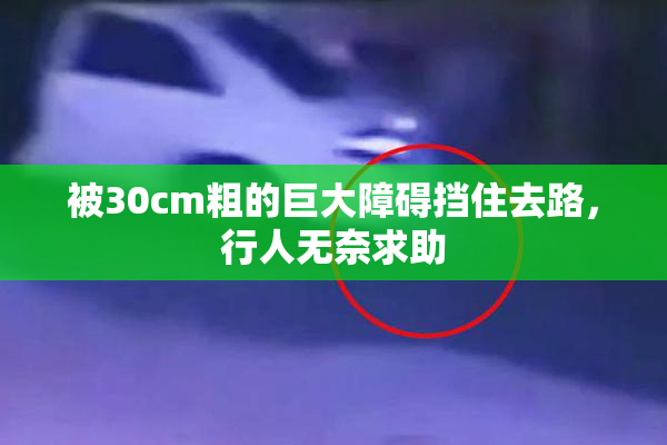 被30cm粗的巨大障碍挡住去路，行人无奈求助
